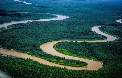 Vista aérea del río Atrato serpenteando entre la selva del Chocó