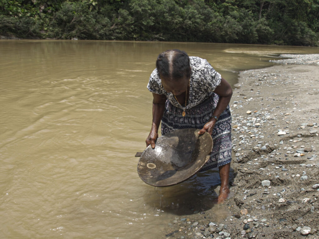 Mujer minera artesanal lavando oro con batea en un río del Chocó